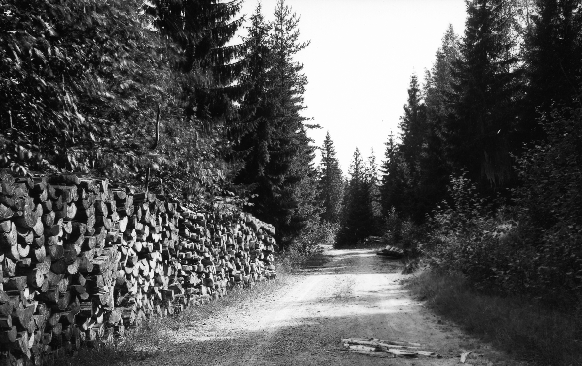Gamla Norrlandsvägen vid Röstbo.
