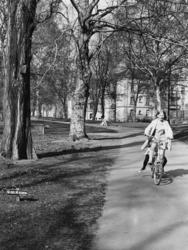 Full fart. St. hanshaugen, Oslo. 11. mai 1970.