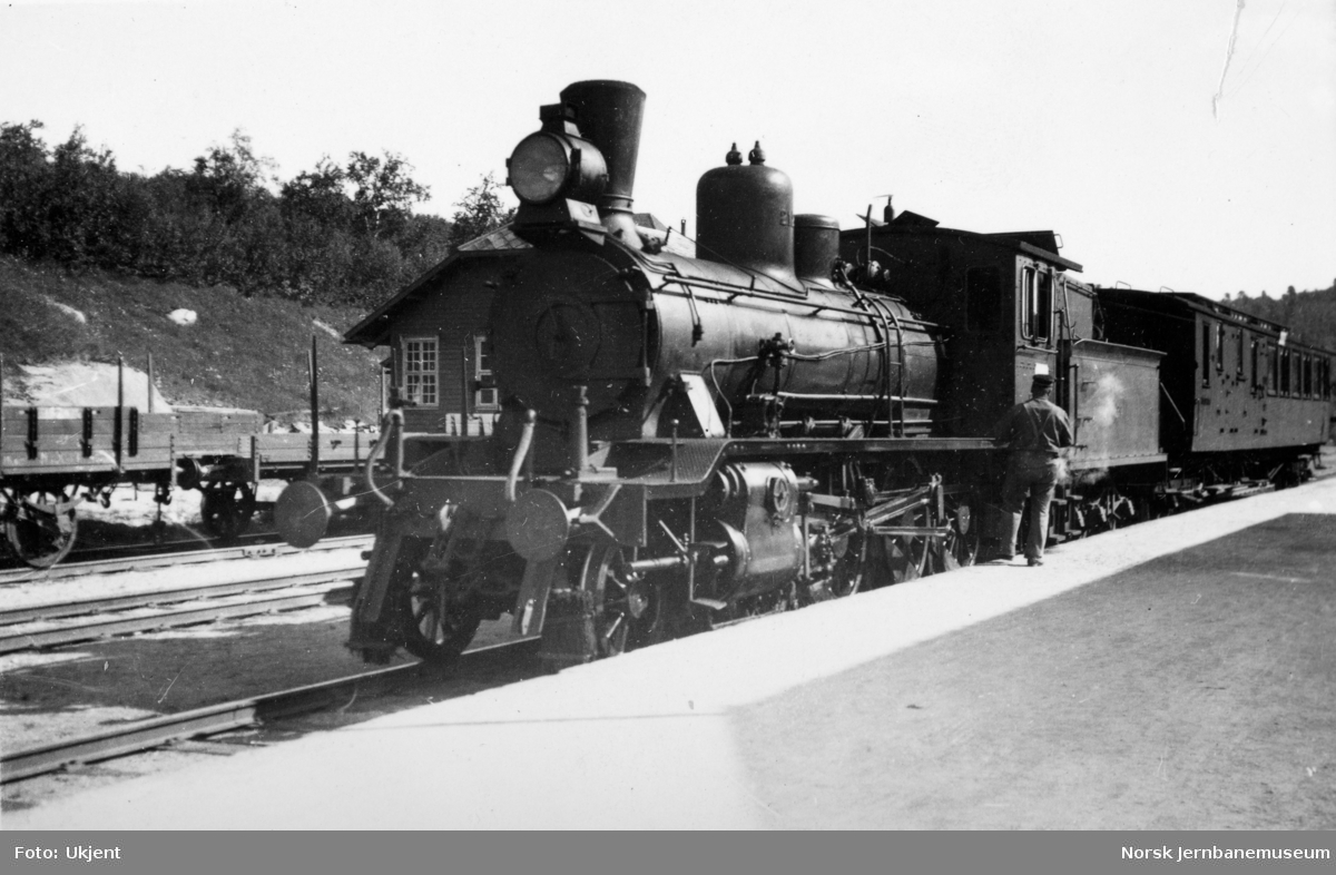 Damplokomotiv type 18c nr. 212 med tog på Geilo stasjon