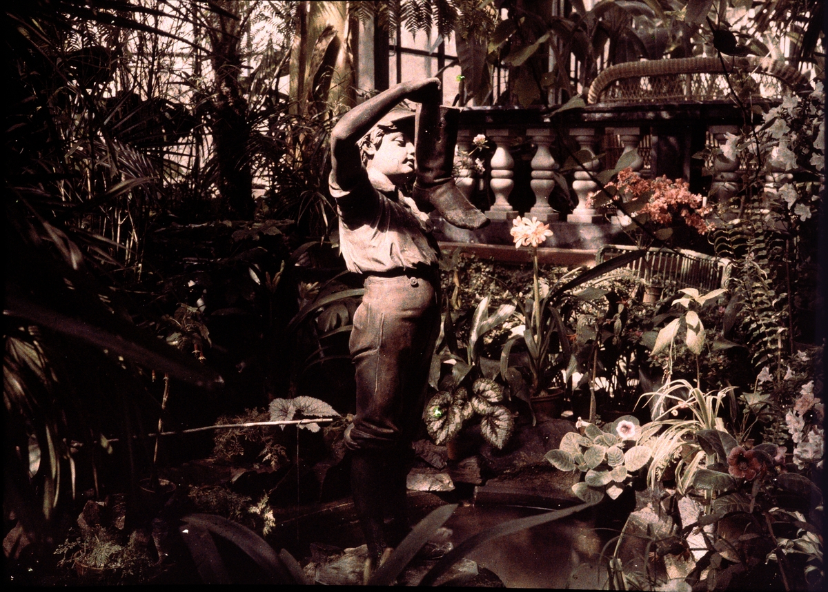 Lumières-autokrom. "Gosse med stöveln i vinterträdgården", dr. Römpler, Görbersdorf Schlesien. Fotograferat i april 1910, med f/24, 5 min. exponering.