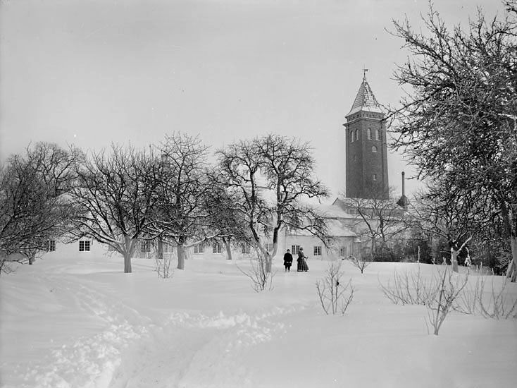 Ingelstad säteri med utsiktstorn, parken i vinterskrud. Tidigt 1900-tal.