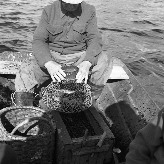 Kräftfiske i Madkroken, Henning Gustafsson, Yxnanäs Braås.