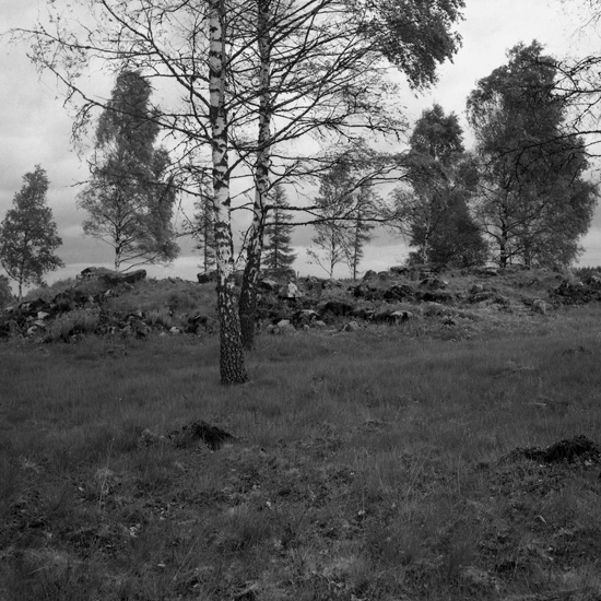 Dörarp, Hallsjö kyrkoruin, 1966. Hallsjö kyrkoruin. Muren från väster.
