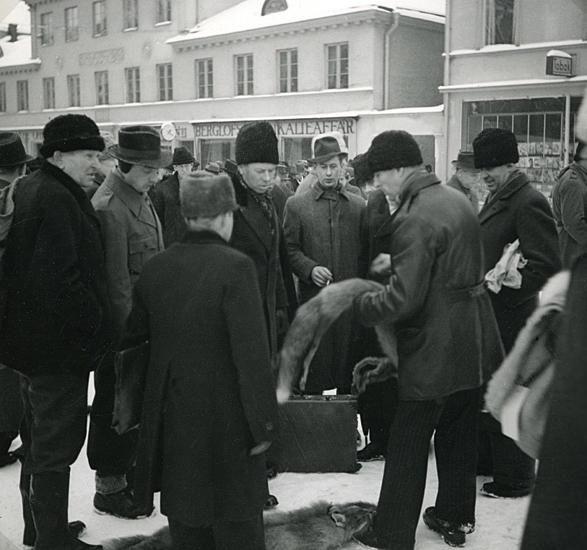 Foto från skinnmarknad i Växjö, troligen i samband med Sigfridsmäss.
Ett antal herrar synar och bedömer några rävskinn.