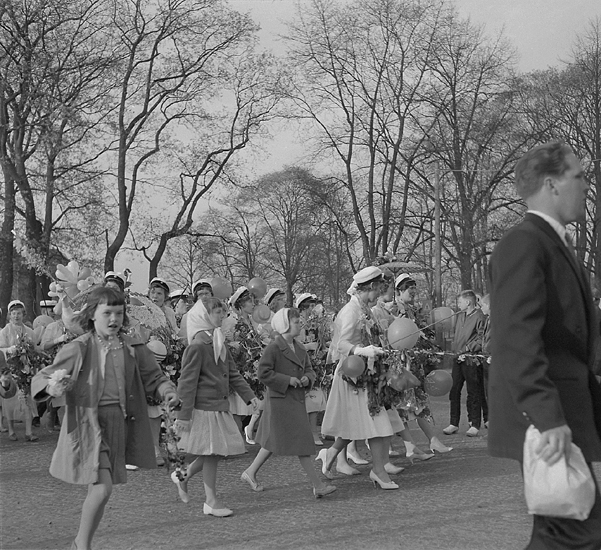 Studenterna fjärde dagen, 1959. 
Studenterna m.fl. tågar över Storgatan, på väg mot Linnéparken.
