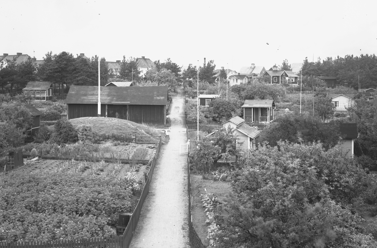 Koloniträdgårdsföreningen firar 25 år. Föreningen bildades i Gävle 1905 och fick arrendera Vreten 171 i Sörby. Fick bygga "lusthus" med högst tolv kvadratmeter, tre meter höga från takstolen till marken.
