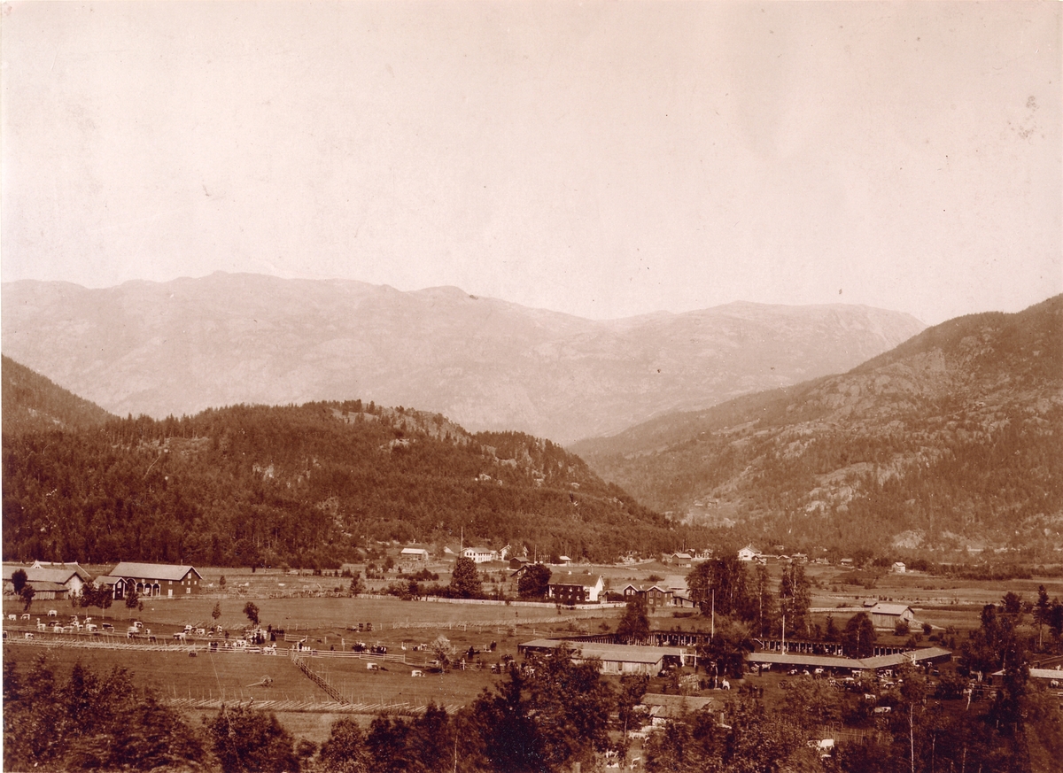 Dyrskuplassen kring 1900