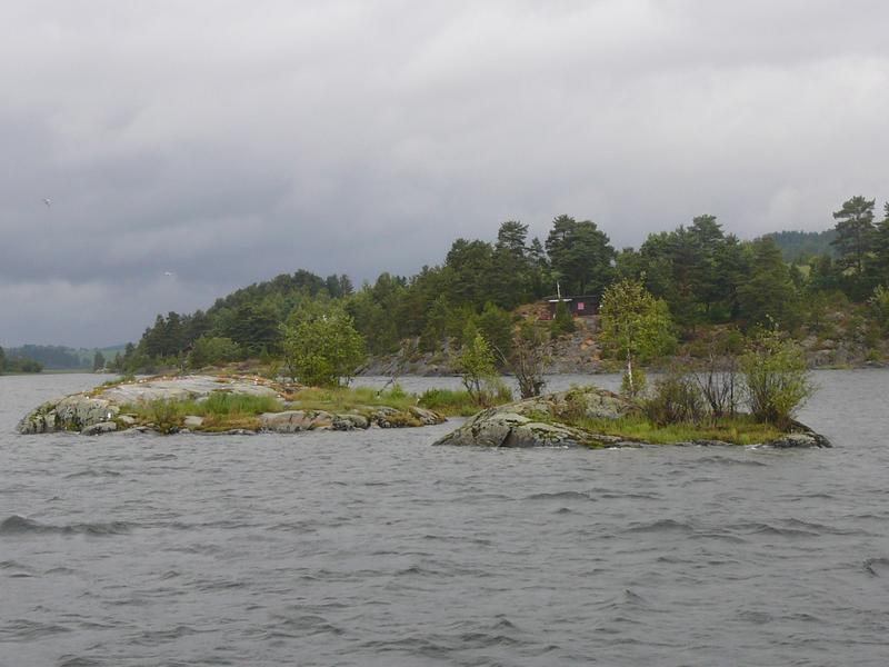Foto av et par øyer ute på elva i naturreservatet