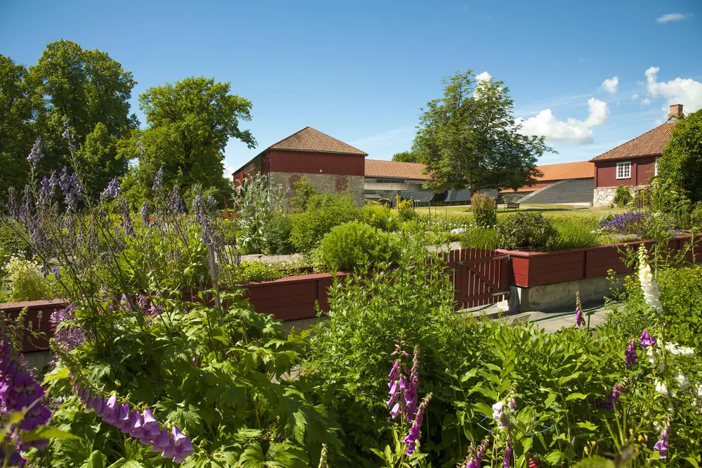 Numerous flowers and plants in the Herb garden and Storhamarlåven in the background.