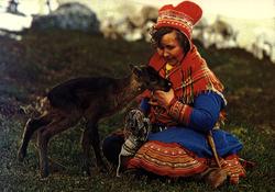 Postkort, Norsk Folkemuseum. Samekvinne med reinsdyrkalv.