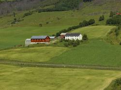 Myhre. Gårdsbruk. Hvit hovedbygning, rødt fjøs med påbygd de