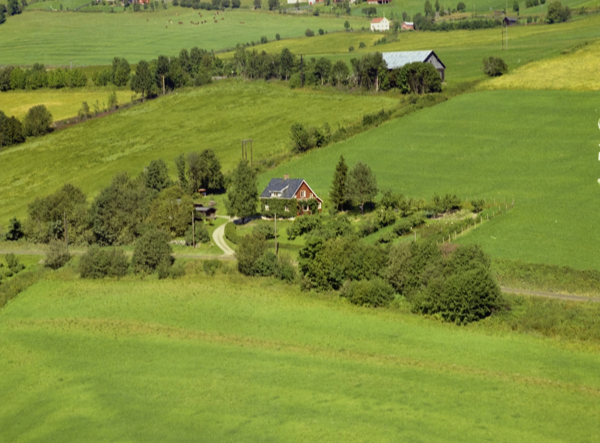 Bakkeli. Kulturlandskap. Bolighus, stor hage. Utkant av åkrer.