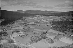 Musdal, 28.08.1953, spredte gårdsbruk, kulturlandskap.