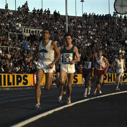 Friidrettsløp på Bislett stadion