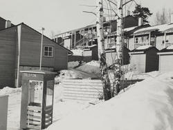 Nytt i Akebakkeskogen. Mars 84.