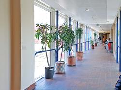 (5 keramiske krukker) [Keramikk]