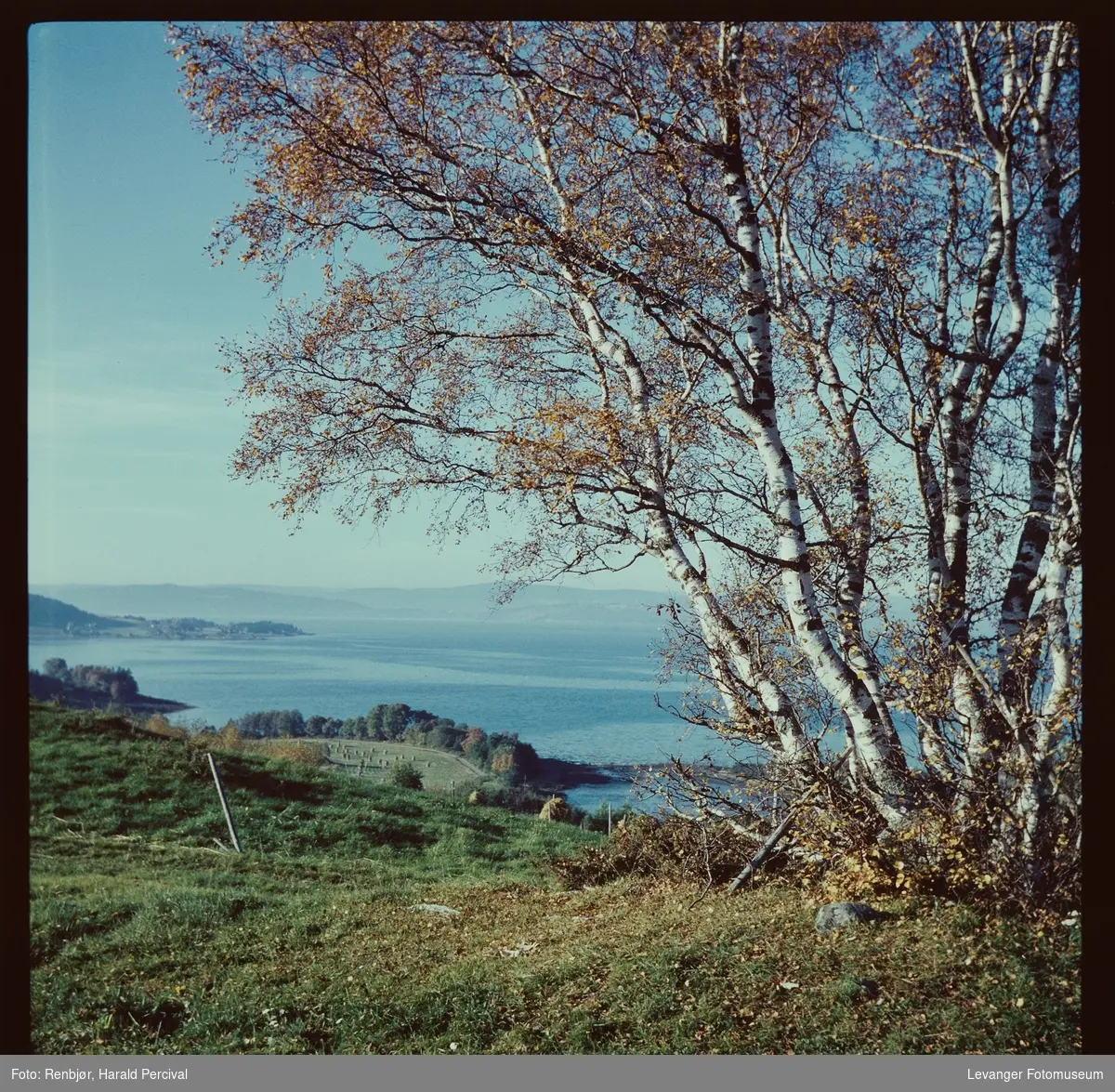 Utsikt fra Folden- Røstad utover Trondheimsfjorden mot Ytterøya.