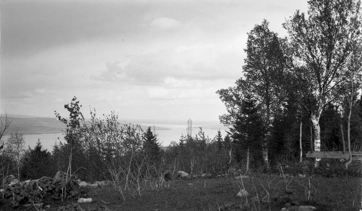 Utsikt over Mjøsa mot Nes-sundet. Fotografens standplass har trolig vært i området Blikset/Fjeld.
