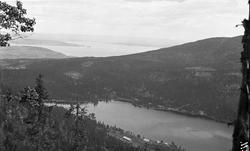 Utsikt fra Holokampen mot Skjepsjøen, Totenåsen. i bakgrunne