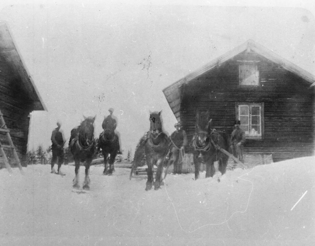 En grupp män med hästar och hästslädar på Näveråsvallen, Orsa Finnmark, Gävleborg.