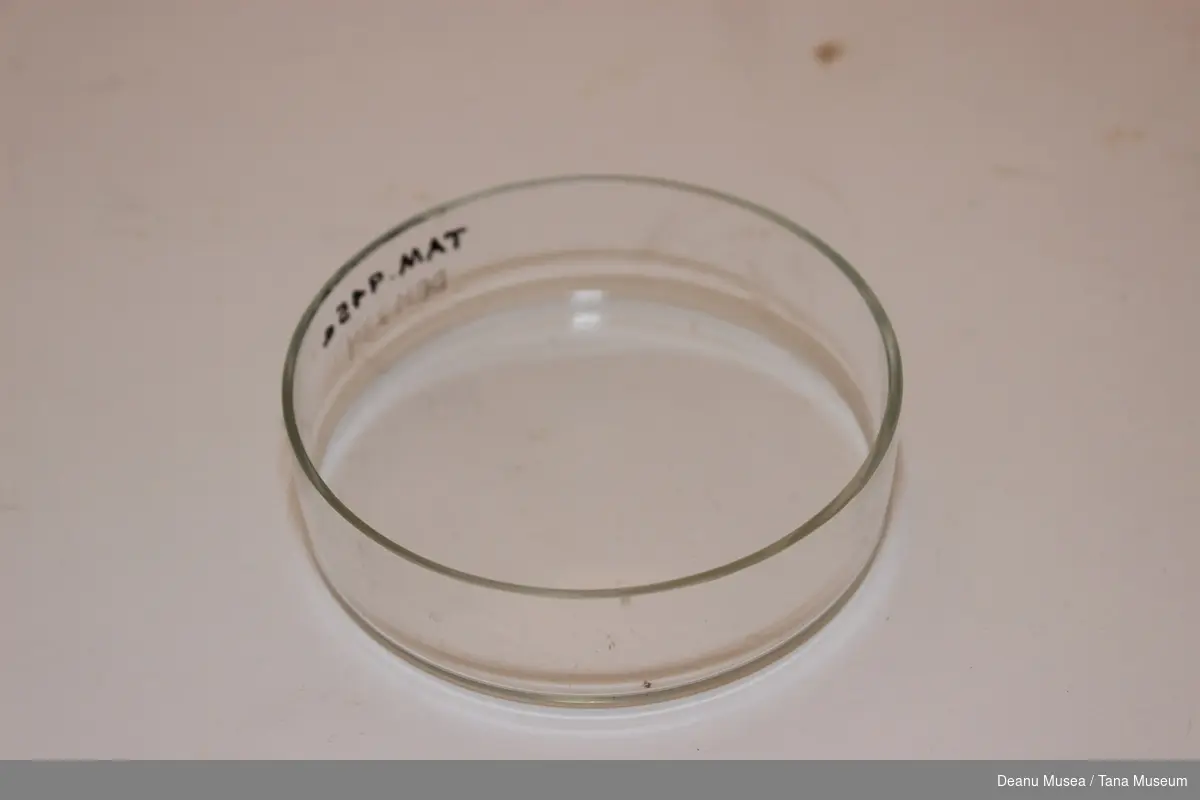 Lav skål samme diameter som laboratoriepapir.