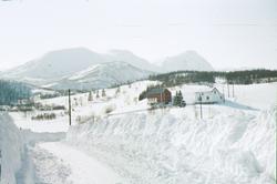 Høye snøskavler langs veien opp til en gård i Grunnvassbotn.