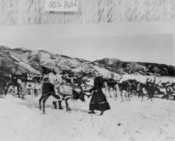 Almetjedåehkie jih bovtse / gruppe og rein