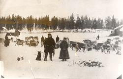 Almetjedåehkie/ gruppe