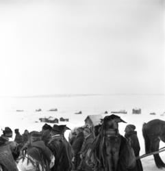 Brudefølge utenfor  Kautokeino kirke,  fotografert av Elisab
