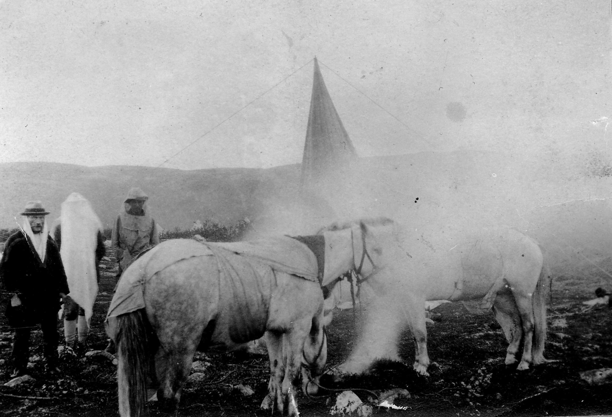 Folk og hester på Finnmarksvidda 1924