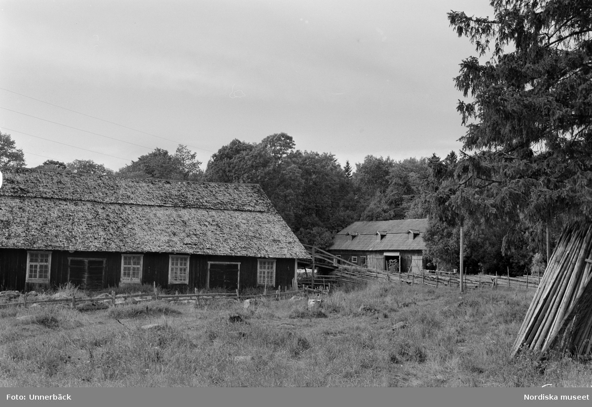”Ladugårdens västra länga från baksidan.  Altomta, Tensta socken,  Norunda härad,  Uppland”.