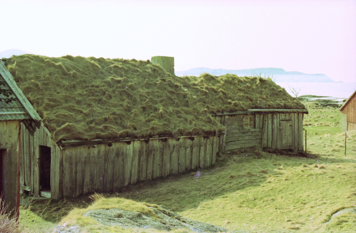 Ei gammal stove på Rasmusgarden på Uksnøya i Sandøy kommune. Bilder fra forskjellige vinkler.