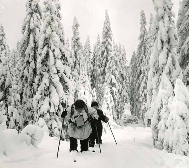 Hilding och Erik åker skidor i loppet Bollnäs runt på skidor.