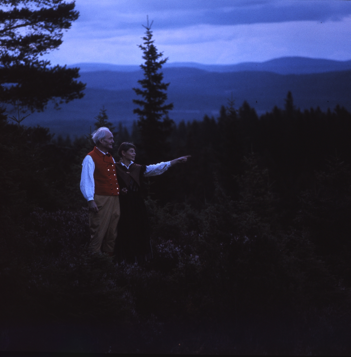 Albert Viksten och Cecilia Bruce står på en höjd med utsikt över skog och blånande berg. De är klädda i folkdräkter.