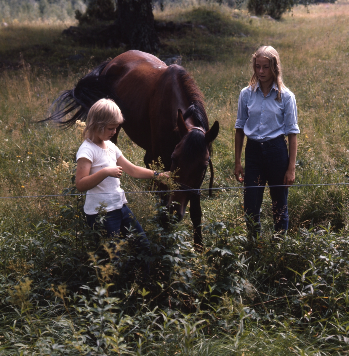 I sommarhagen. Två flickor och en häst.