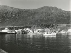 Prospektfotografi med oversikt over havna med båter og fiske