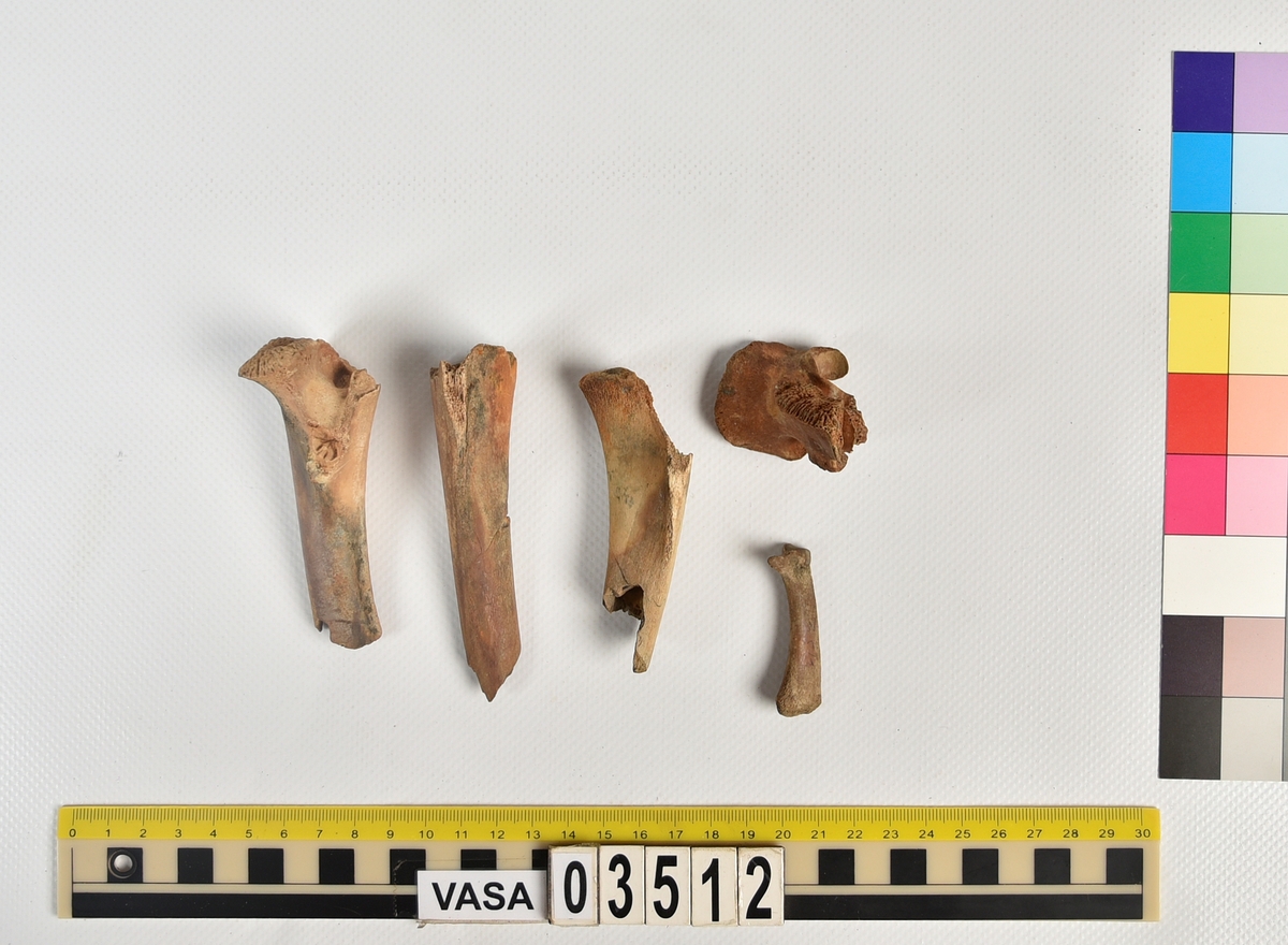 Ben från svin (Sus domesticus).
2 st. fragment av skenben (tibia).
1 st. övre fragment av lårben (proximalt fragment av femur).
1 st. sista ländkota (vertebrae lumbale).
1 st. ben (obestämt) från spädgris (subadult).