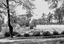 Borregård hovedgård i Sarpsborg, 1931. Parken med drivhus og