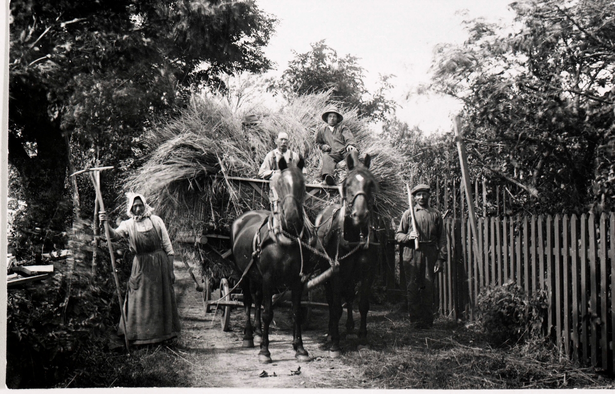 Skördefolk som låtit sig fotograferas med hästar och skrinda, i Nedra Sandby.

Namnet Elin Olin, Nedra Sandby, är knutet till bilden.