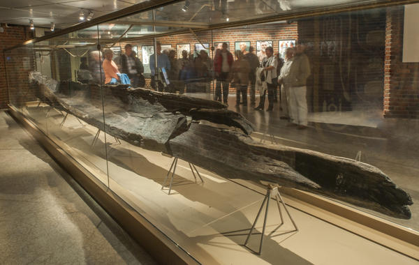 Stokkebåt i monter på museet.. Foto/Photo