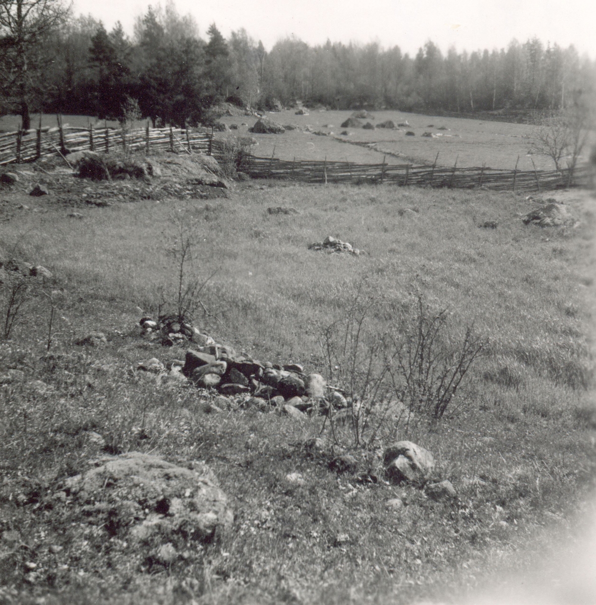 Ängsmark vid en gammal boplats vid landsvägen mellan Hökfors och Sandslätt.