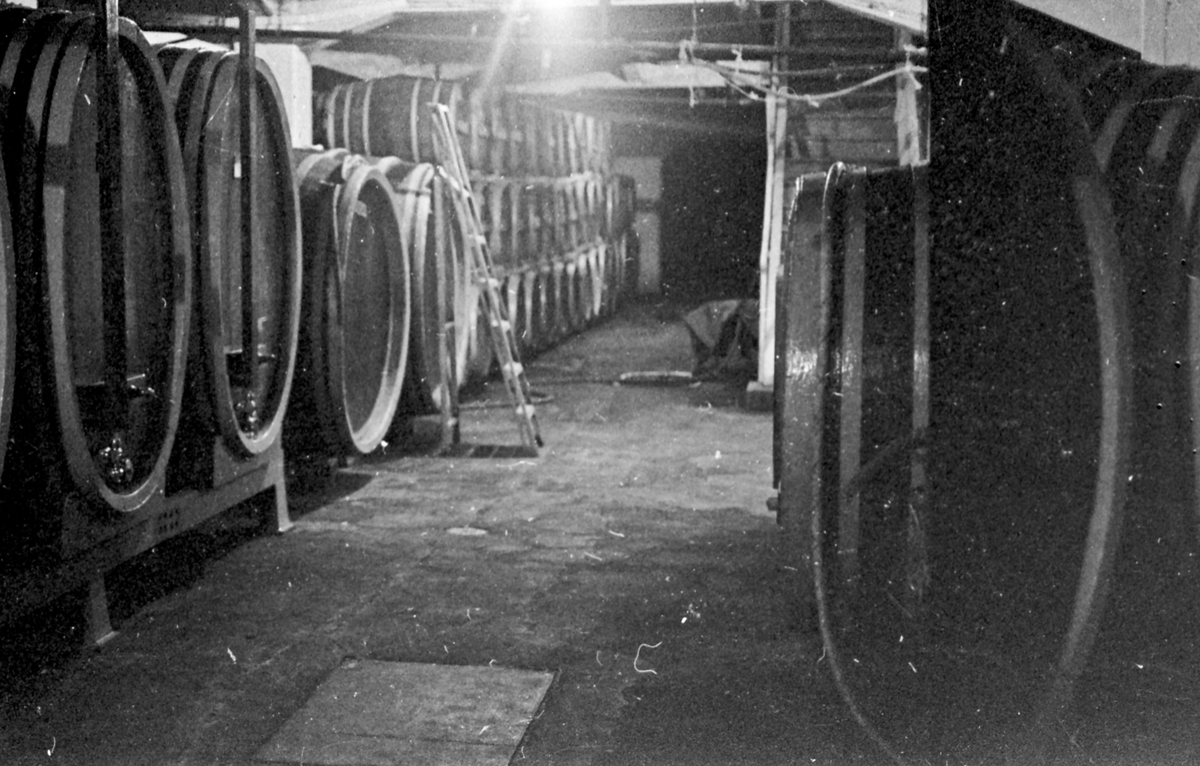 L. Reitan. Produksjon av musserende vin, Golden Power. Mange tønner på lager.