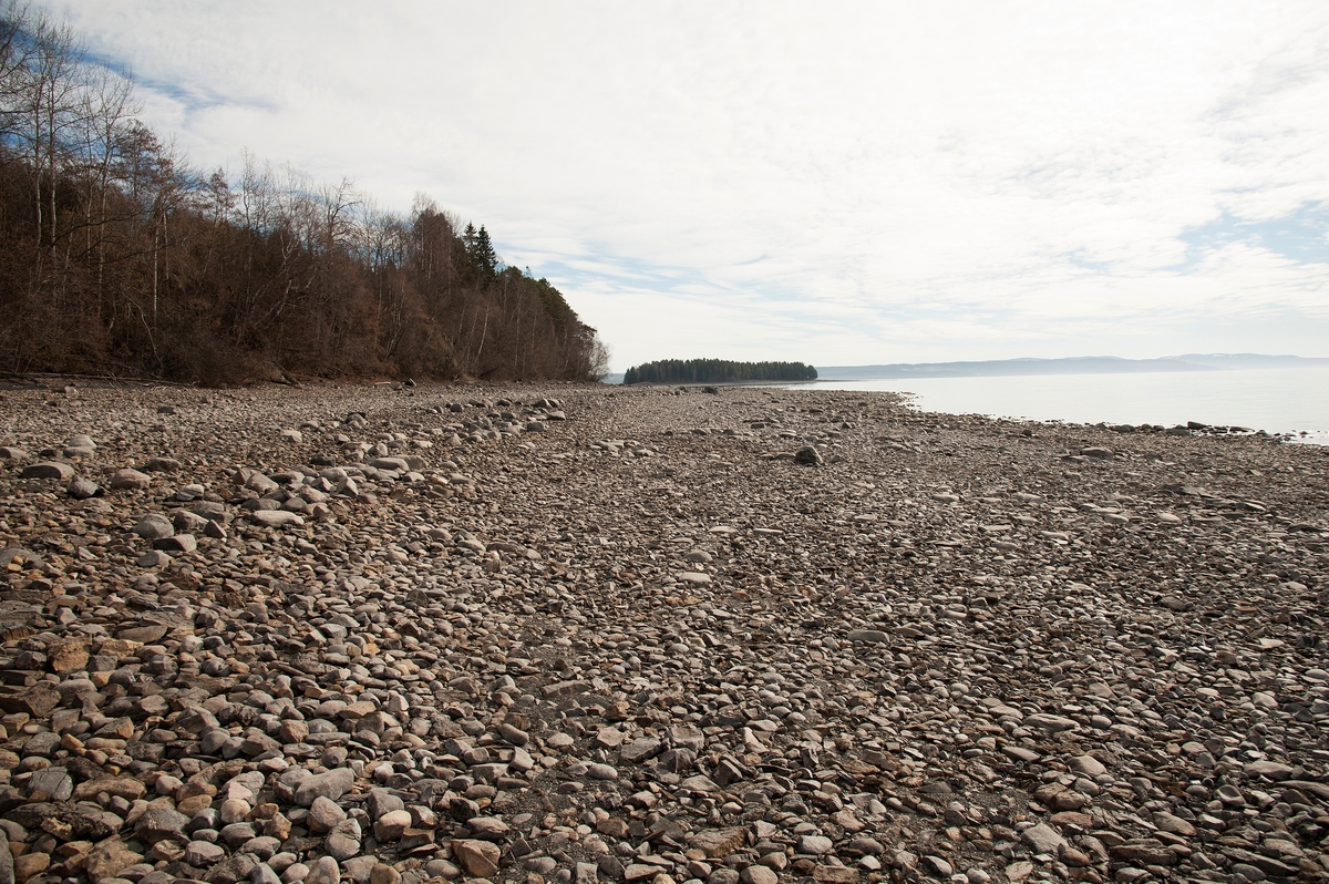 Stranda mellom Kvalstua og Hovinsholmen på Helgøya, Hedmark. Rik på fossiler fra mer enn 415 millioner år siden.