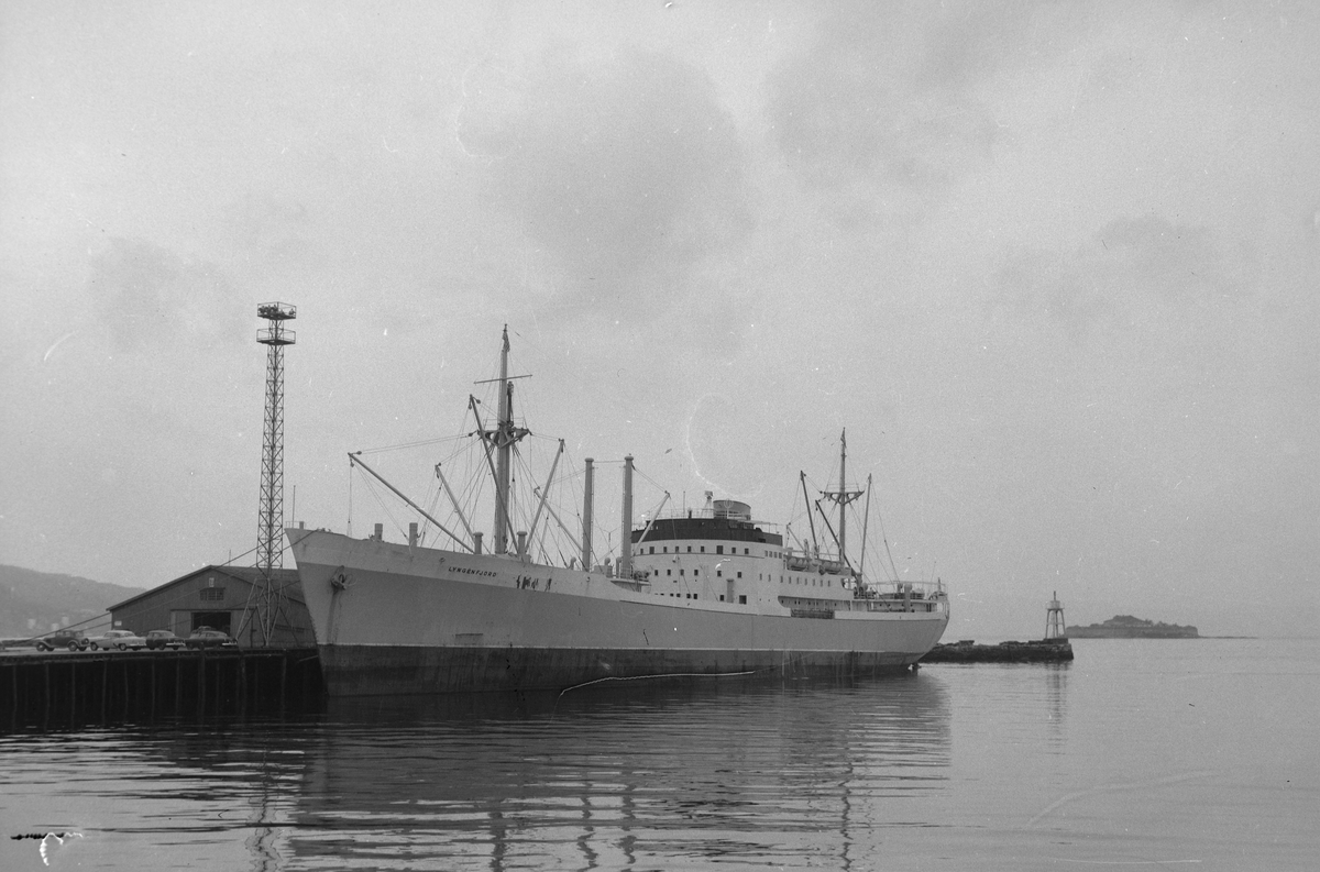 Eksport av fiskefilet mm med Lyngenfjord