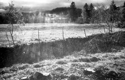 Vedstabel ved åker.