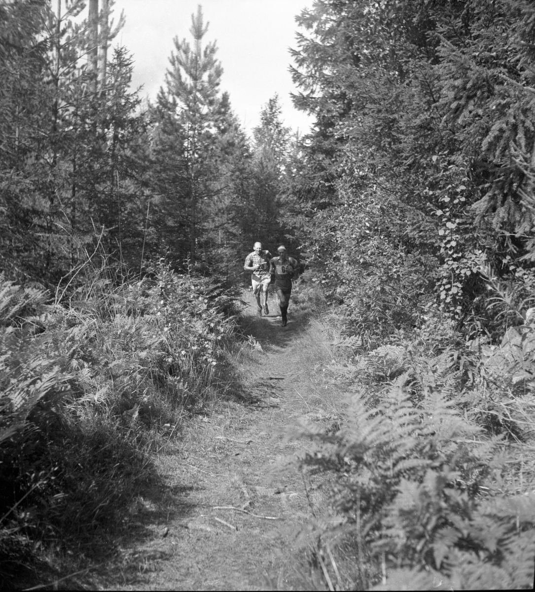 Landskapsmatchen i orientering mellan Gästrikland och Uppland.
1946
