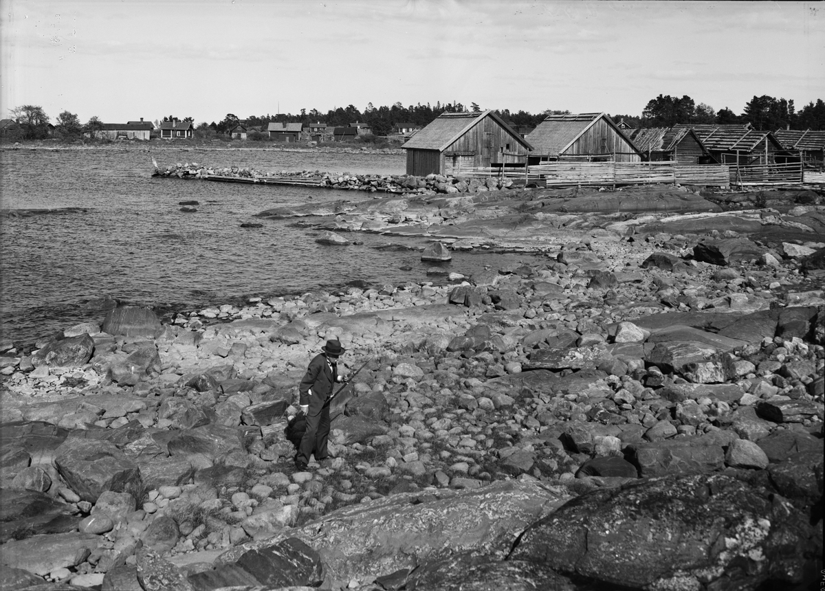 Professor Rutger Sernander i Upplands fornminnesförening går på stranden, sannolikt utanför Haruddens fiskeläge, Älvkarleby