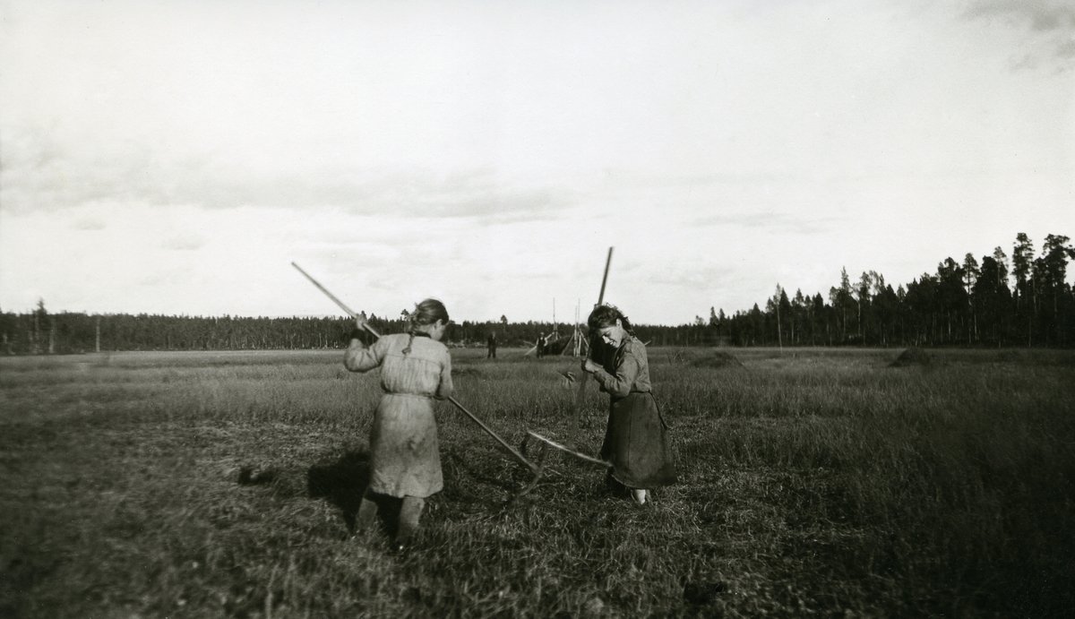 To jenter raker høy ved Gravarkjølen i Galåsen. Marta Petrine g. Rønningen (6/9 1908) og Oline g. Lyseggen (23/10 1909)