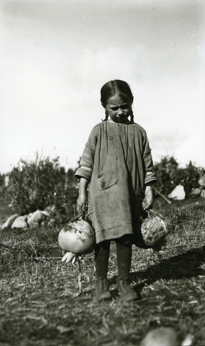Jente, Maalfrid Galaasen (21/2 1914), stående med en turnips i hver hånd i Galåsen.