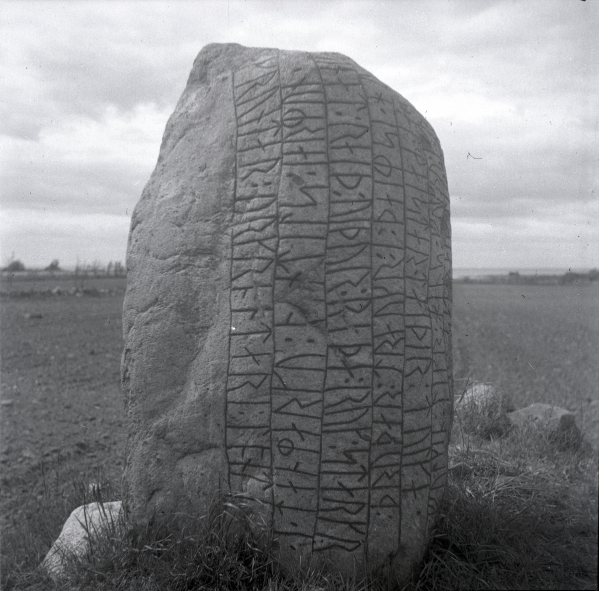 Karlevistenen täckt med runor. - Kalmar läns museum / DigitaltMuseum